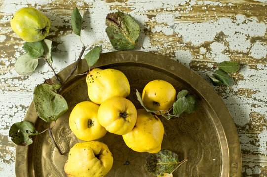 Fresh quinces (Cydonia oblonga) on metal tray