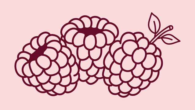 Minimalist Raspberry Fruit Vector Illustration Featuring Bold Dark Maroon Outlines on a Soft Pastel Pink Background for Kitchen Design