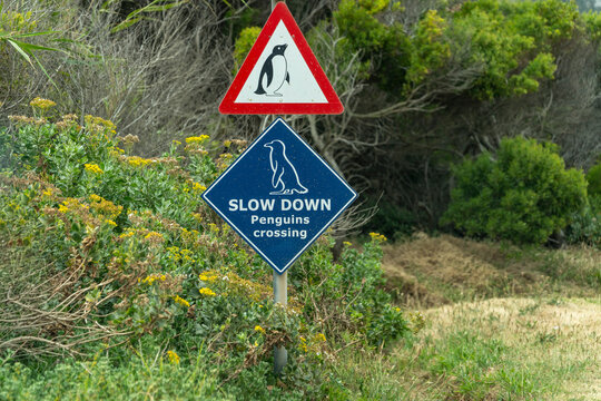 Penguin crossing warning sign at Boulders Beach in South Africa
