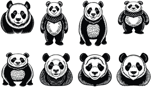Panda silhouette set vector design big pack of illustration and icon