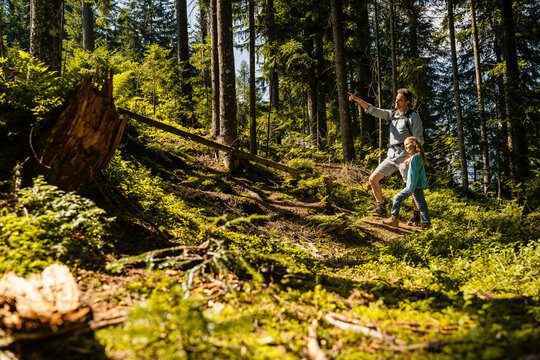 Father and daughter hiking in forest on sunny day