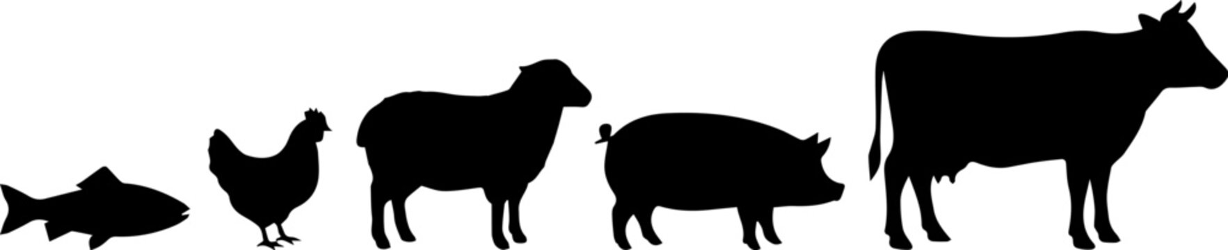 mal in farm pig goat chicken duck cow silhouette.