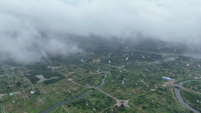 Fog flying over tha green field. 