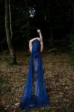 Figure wearing a blue lace cloak standing in a dark forest