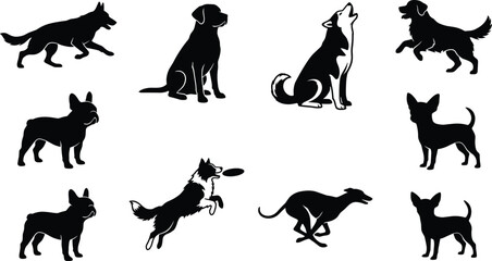 Vector silhouettes of various dog breeds including german shepherd labrador retriever husky french bulldog border collie greyhound and chihuahua © MstMinara