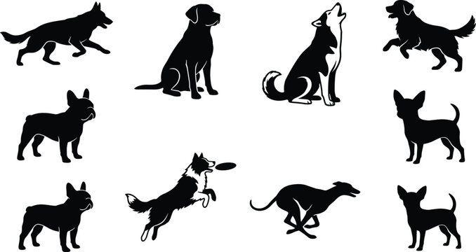 Vector silhouettes of various dog breeds including german shepherd labrador retriever husky french bulldog border collie greyhound and chihuahua