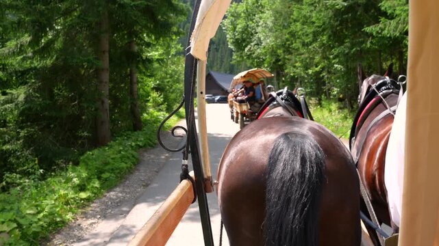 Horse drawn carriages on forest road to Morskie Oko in Zakopane Poland