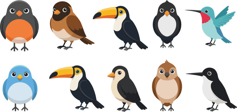 Cute Cartoon Bird Vector Illustration Set featuring Hummingbird, Toucan, Robin, Sparrow, and Bluebird Clipart for Children Educational Graphic Layouts