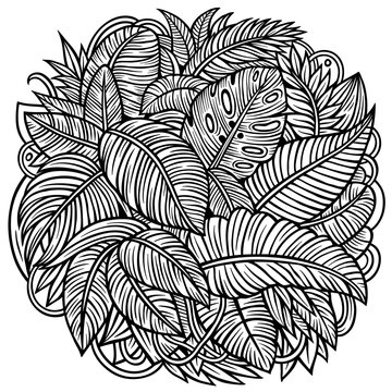 Line art tropical leaves illustration in a lush doodle style, featuring monstera and palm foliage arranged in a dense jungle coloring page