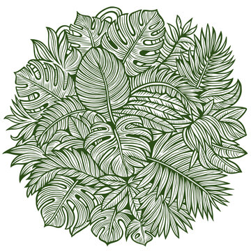 Line art tropical leaves illustration in a lush doodle style, featuring monstera and palm foliage arranged in a dense jungle coloring page
