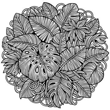 Line art tropical leaves illustration in a lush doodle style, featuring monstera and palm foliage arranged in a dense jungle coloring page