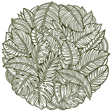 Line art tropical leaves illustration in a lush doodle style, featuring monstera and palm foliage arranged in a dense jungle coloring page