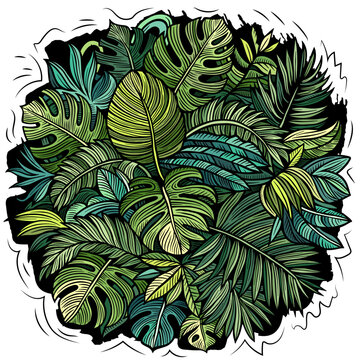 Vibrant tropical leaves illustration in a lush doodle style, featuring monstera and palm foliage arranged in a dense jungle composition isolated on white background.