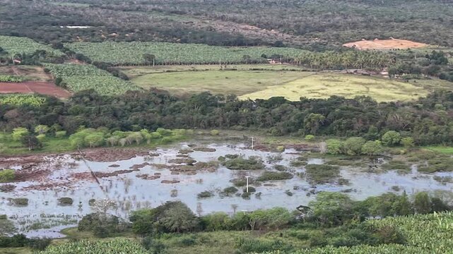 V&iacute;deo de drone mostrando o leito do Rio Utinga com &aacute;reas alagadas, cercado por vegeta&ccedil;&atilde;o de mata nativa preservada em contraste com uma vasta planta&ccedil;&atilde;o de banana, Chapada Diamantina, Bahia, Brasil.
