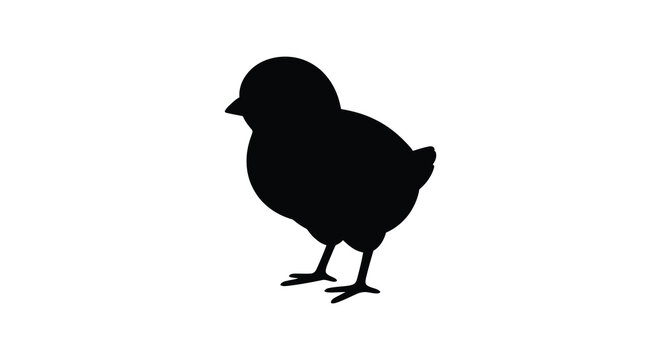 Chick silhouette on a white background simple avian form