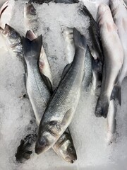 Fresh fish on ice in market display for sale, showcasing seafood options available for purchase © dvoevnore
