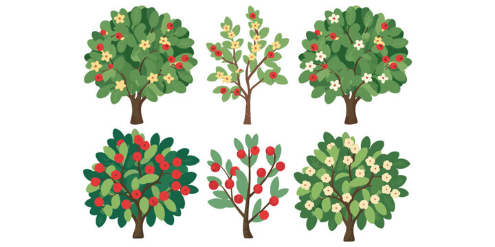 Collection of six fruit trees with green foliage, blossoms, and red apples showing seasonal growth and botanical concept artwork design illustration, flat vector illustration