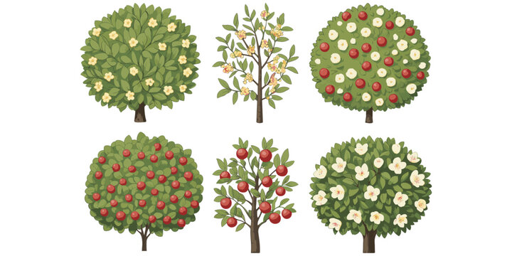 Collection of six fruit trees with green foliage, blossoms, and apples showing seasonal growth and botanical concept artwork design illustration, flat vector illustration