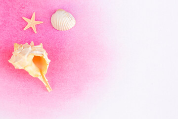 Fototapeta premium Sea shells and starfish on pink watercolor gradient background with copy space
