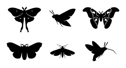 Six Silhouette Moth Vector Icons, Insect Silhouettes, Butterfly Graphics, Winged Creature Designs, Nature Elements © Sabina
