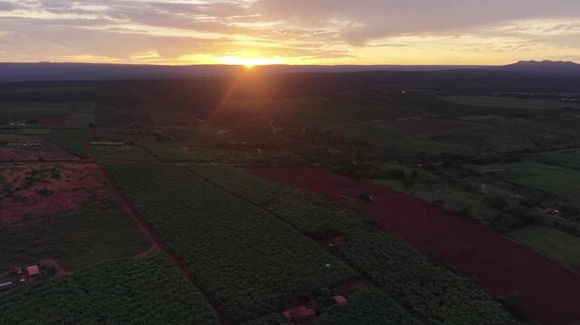 V&iacute;deo de drone mostrando o leito do Rio Utinga com &aacute;reas alagadas, cercado por vegeta&ccedil;&atilde;o de mata nativa preservada em contraste com uma vasta planta&ccedil;&atilde;o de banana, Chapada Diamantina, Bahia, Brasil.