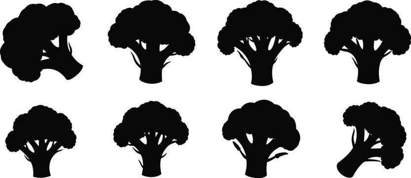 Fresh green broccoli vegetable silhouette vector icon collection set with side view for organic vegan food menu design.