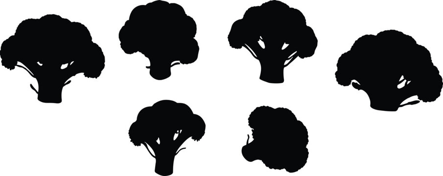 Fresh green broccoli vegetable flat silhouette vector icon collection set for organic vegan food grocery market menu design.