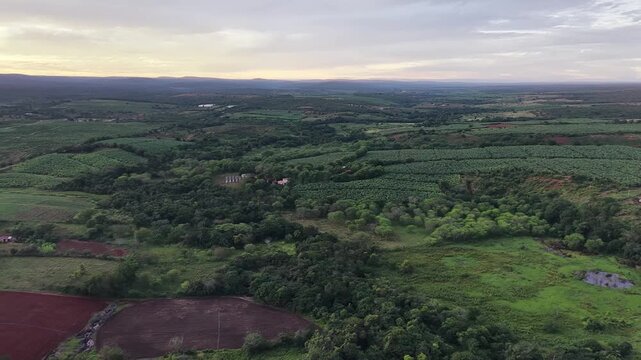 V&iacute;deo de drone mostrando o leito do Rio Utinga com &aacute;reas alagadas, cercado por vegeta&ccedil;&atilde;o de mata nativa preservada em contraste com uma vasta planta&ccedil;&atilde;o de banana, Chapada Diamantina, Bahia, Brasil.
