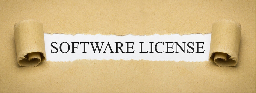 Software License