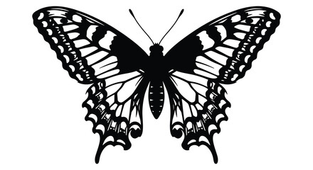 Black butterfly silhouette on a white background detailed wing patterns © MstSuraiya