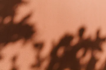 Fototapete Wasserfall Sharp tropical leaf shadow cast on a dark terracotta wall. Mediterranean summer aesthetic, sunlight, warm vacation vibe, rustic exterior, autumn fall natural background, minimalist botanical design.  © magic_cinema