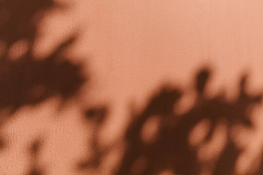 Sharp tropical leaf shadow cast on a dark terracotta wall. Mediterranean summer aesthetic, sunlight, warm vacation vibe, rustic exterior, natural background, minimalist botanical design.