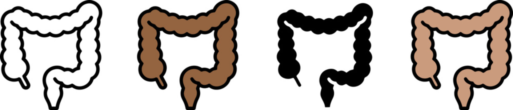 Four different colored illustrations of the human large intestine anatomy in a row