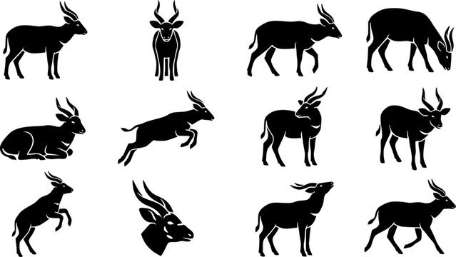 Bongo animal silhouette icon set, flat black glyph style, pure white background