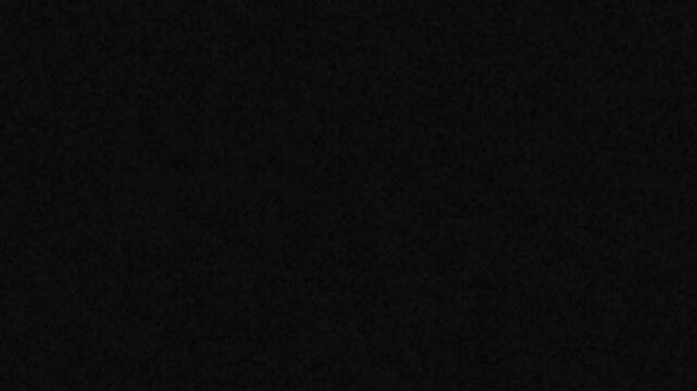 Vintage film noise overlay. Authentic black and white dust, grain