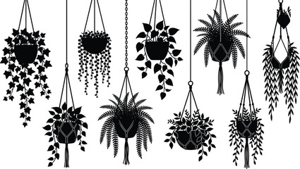 Fototapeta premium Hanging potted plant silhouette collection with decorative foliage for interior and garden design projects