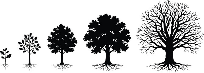 Obraz premium Tree growth silhouette sequence showing sapling to mature stages for environmental and educational design projects