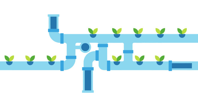 Hydroponic system with growing plants in blue pipes, modern agriculture concept
