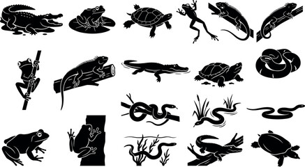 Fototapeta premium Amphibian and Reptile Wildlife Silhouette Icon Set Featuring Frogs Lizards Turtles Snakes and Alligators in Natural PosesAmphibian and Reptile Wildlife Silhouette Icon Set Featuring Frogs Lizards Turt