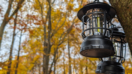 Rustic LED camping lantern hanging on a tree in a beautiful golden ginkgo forest during autumn © Chan_Heritage_Japan