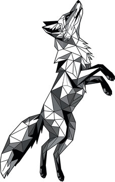 Low poly geometric fox illustration featuring polygonal wildlife animal design isolated modern vector artwork