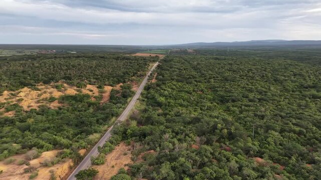 V&iacute;deo de drone mostrando o leito do Rio Utinga com &aacute;reas alagadas, cercado por vegeta&ccedil;&atilde;o de mata nativa preservada em contraste com uma vasta planta&ccedil;&atilde;o de banana, Chapada Diamantina, Bahia, Brasil.