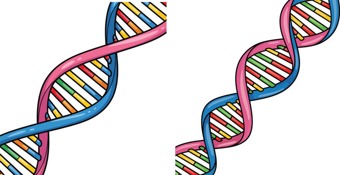 Colorful stylized DNA double helix structure illustration isolated on white background with genetics chromosome biotechnology molecule biochemistry colorful illustration graphics research