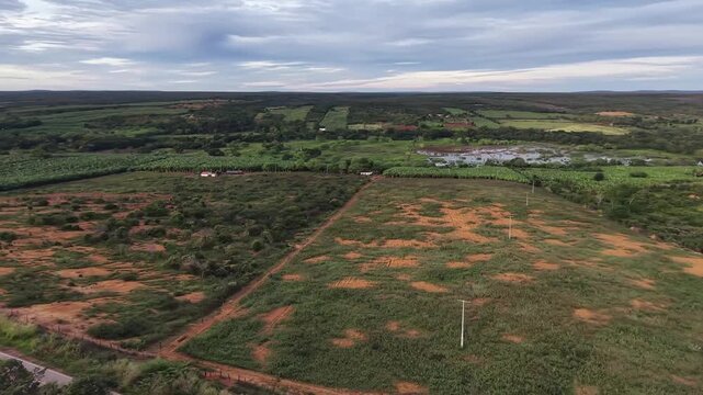 V&iacute;deo de drone mostrando o leito do Rio Utinga com &aacute;reas alagadas, cercado por vegeta&ccedil;&atilde;o de mata nativa preservada em contraste com uma vasta planta&ccedil;&atilde;o de banana, Chapada Diamantina, Bahia, Brasil.