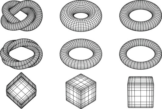 3D wireframe geometric shape icon set vector illustration featuring torus knot ring and cube models