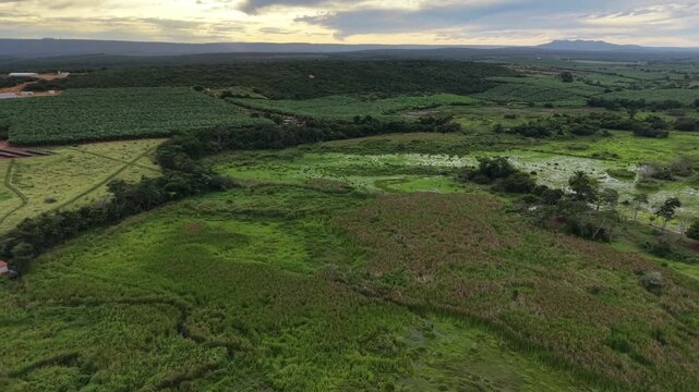 V&iacute;deo de drone mostrando o leito do Rio Utinga com &aacute;reas alagadas, cercado por vegeta&ccedil;&atilde;o de mata nativa preservada em contraste com uma vasta planta&ccedil;&atilde;o de banana, Chapada Diamantina, Bahia, Brasil.
