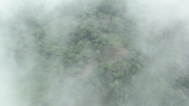Aerial view flying through clouds above green rainforest