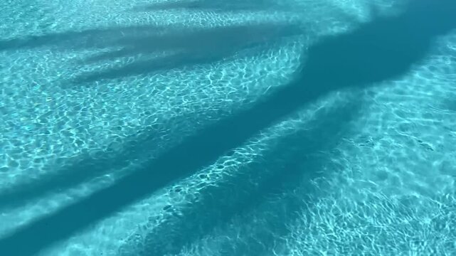 Real-time video of a palm tree shadow cast across crystal-clear blue swimming pool water. Relaxing tropical resort scene featuring sunshine, summer vacation vibes, luxury travel and tranquil outdoor 