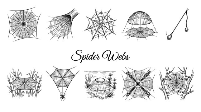 Set of Ten Spider Web Types Vector Illustration Hand Drawn Engraving Style Sketch
