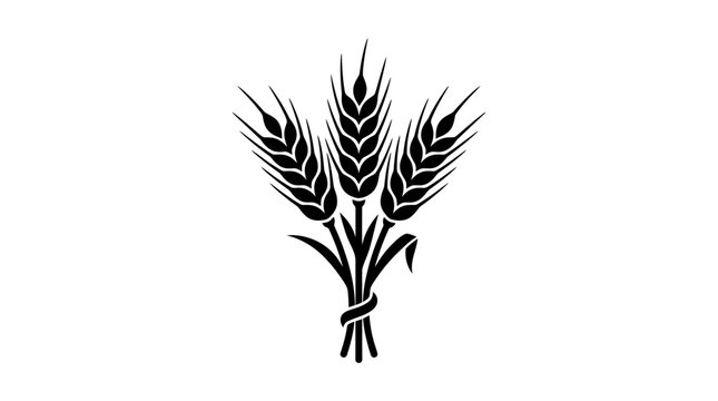 Wheat stalks silhouette against a white background graphic design element